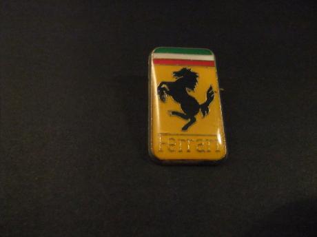 Ferrari sportwagen logo groot paard